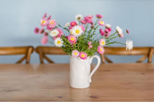 How to Pick, Dry and Enjoy Paper Daisy Flowers