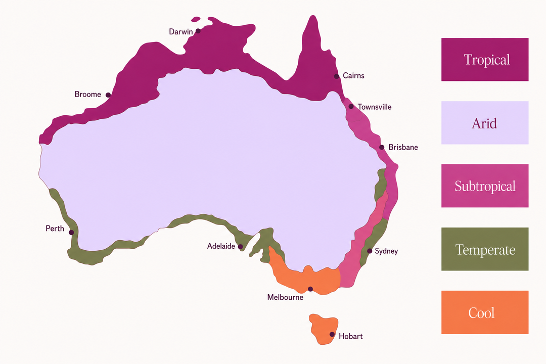 Climate Zones for Growing Everlasting Daisies