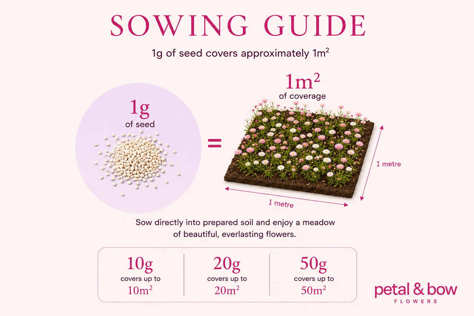 How Much Paper Daisy Seed Do I Need? Sowing Rates Explained