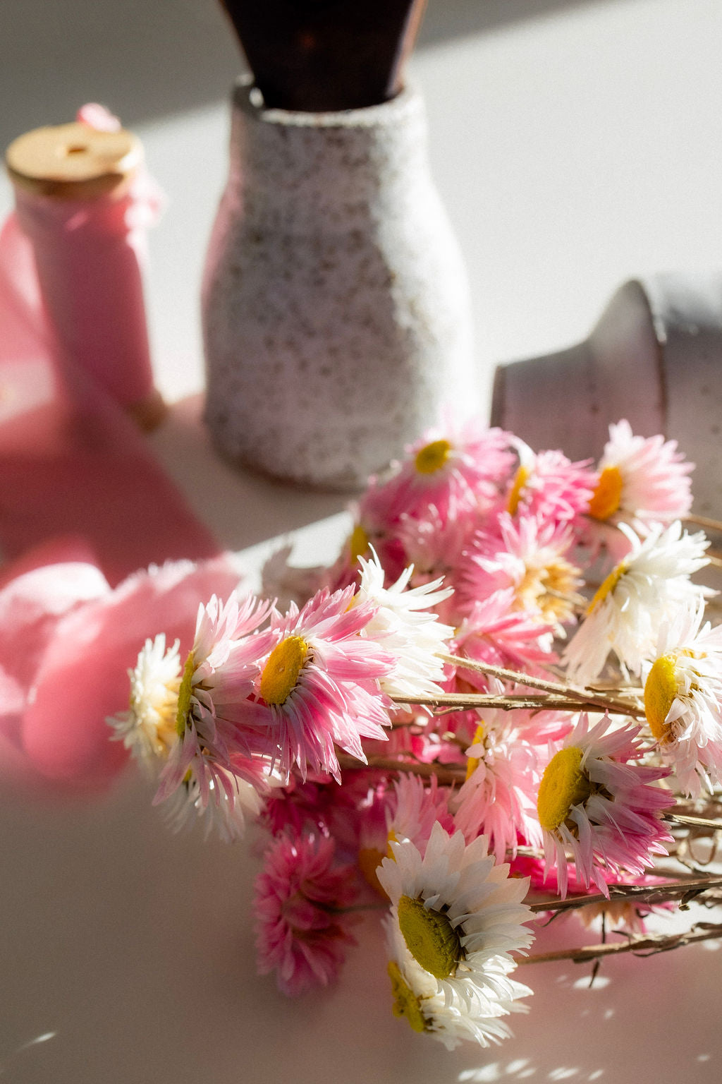 Dried Paper Daisy Flowers