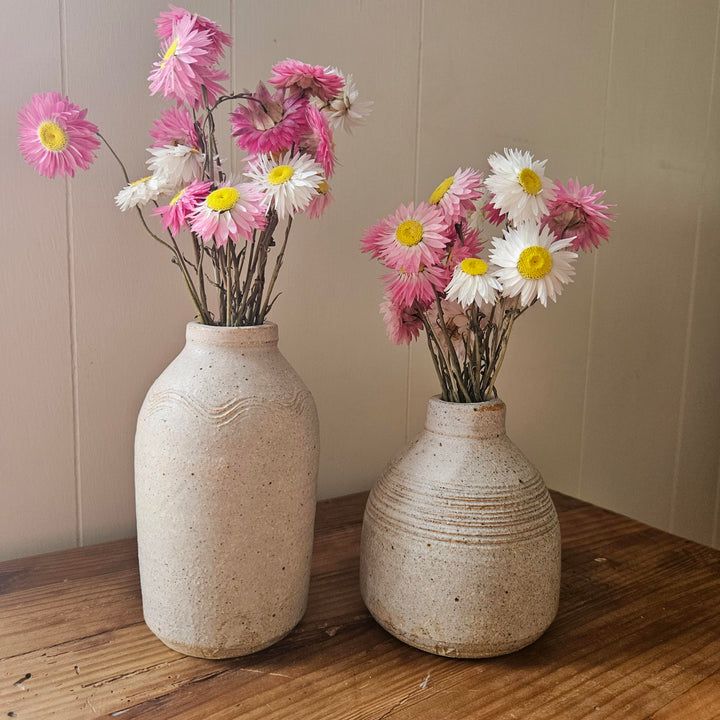 Dried Paper Daisy Bud Vase Gift Box | Pink and White Everlasting Flowers