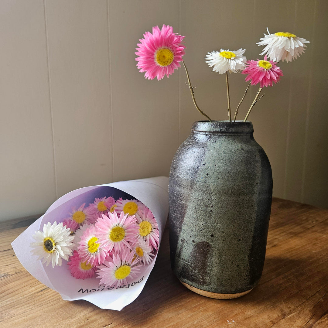 Dried Paper Daisy Bud Vase Gift Box | Pink and White Everlasting Flowers
