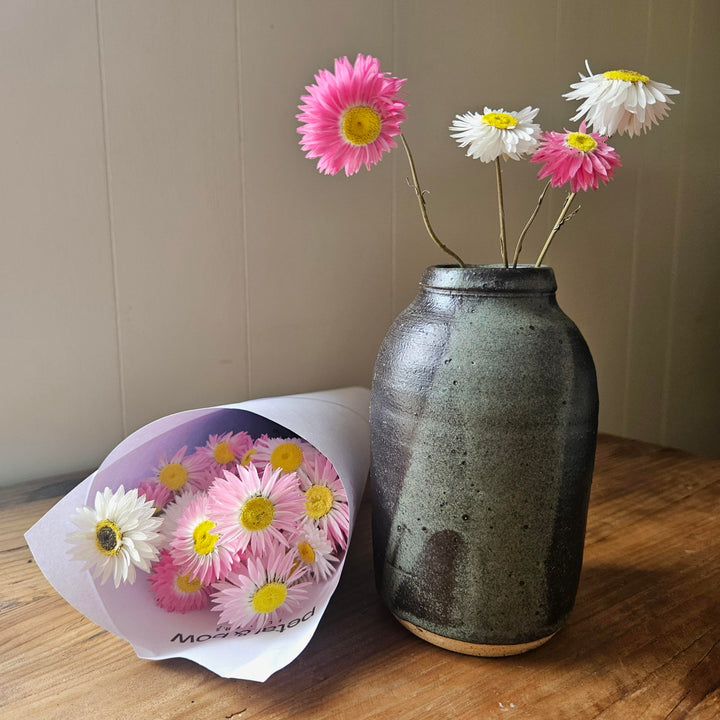 Dried Paper Daisy Bud Vase Gift Box | Pink and White Everlasting Flowers