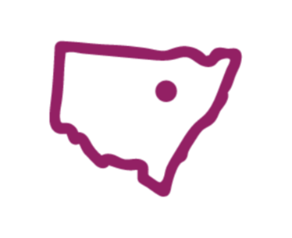 Purple outline of a state shape with a dot in the center on a black background
