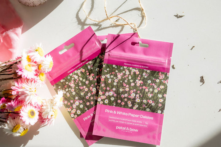Daisy Delight Seeds | Buy Paper Daisy Seeds | Australian Wildflower Seeds | Native Flowers | Petal and Bow Flowers | Paper Daisy Seeds | Everlasting Daisy Seeds | Rhodanthe Seed | Strawflower Seeds | Seed Seller | Easy to Grow Flowers | Locally Grown Seeds | Locally Grown Flowers | Everlasting Daisy | Paper Daisy | Pink and White Flowers | Seed Packet | Pink and White Everlasting Paper Daisy | Buy Paper Daisy Seeds