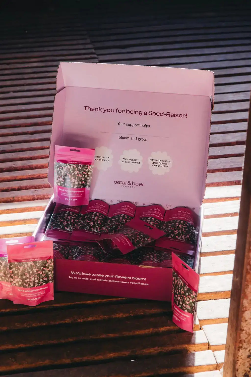 Open Seed-Raisers fundraising box with paper daisy seed packets