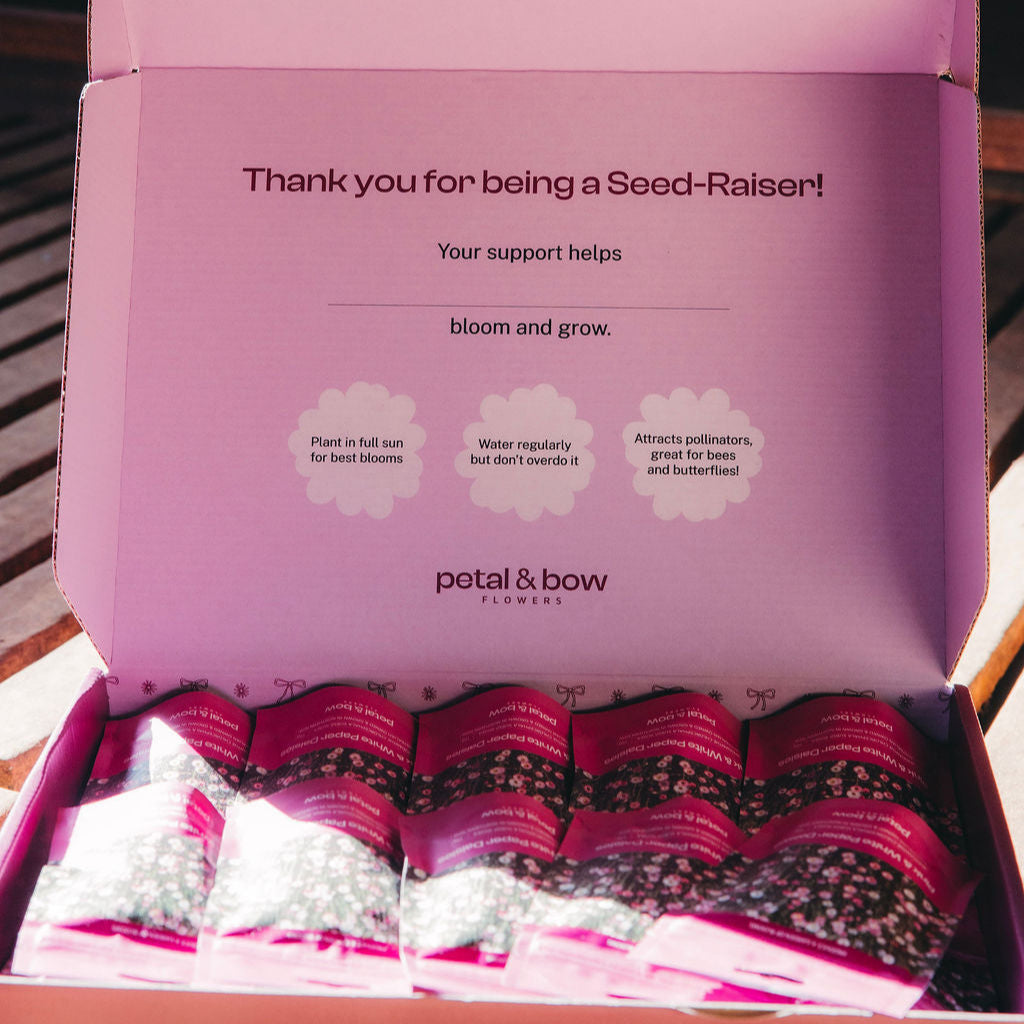 Seed-Raisers Fundraising Box | Buy Paper Daisy Seeds | Fundraising | School Fundraising | Community Fundraising | Flower Fundraiser | Seed Raisers | Eco Friendly Fundraising | Sustainable Fundraising Option | Sports Fundraiser | Seed Packet 