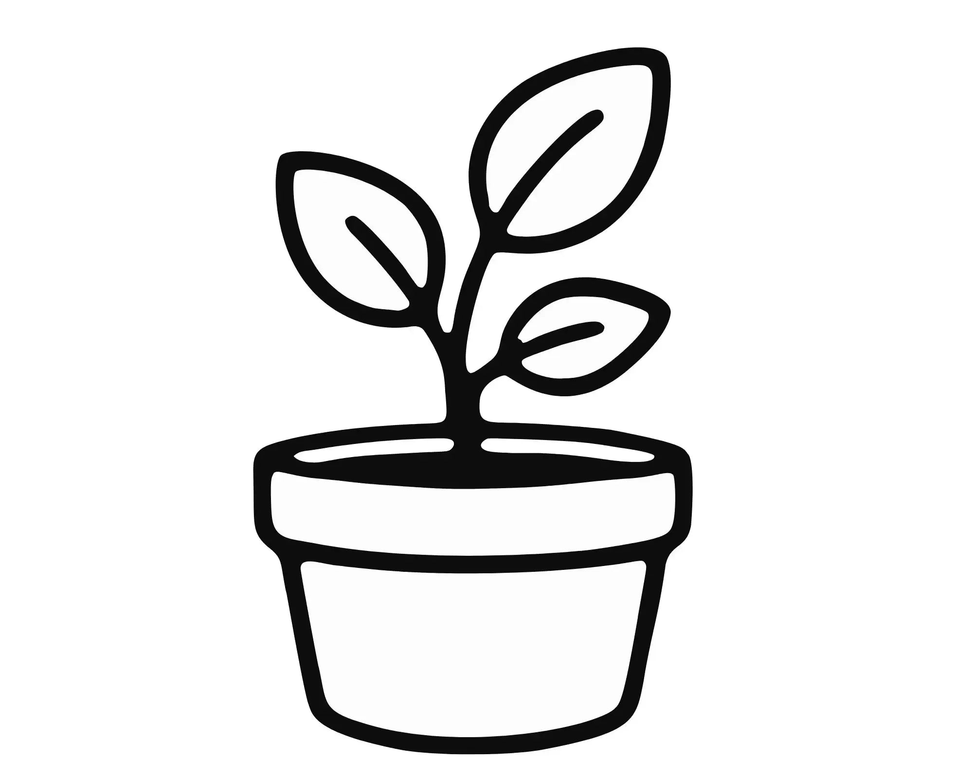 Simple line drawing of a potted plant with three leaves, ideal for gardeners growing paper daisies.