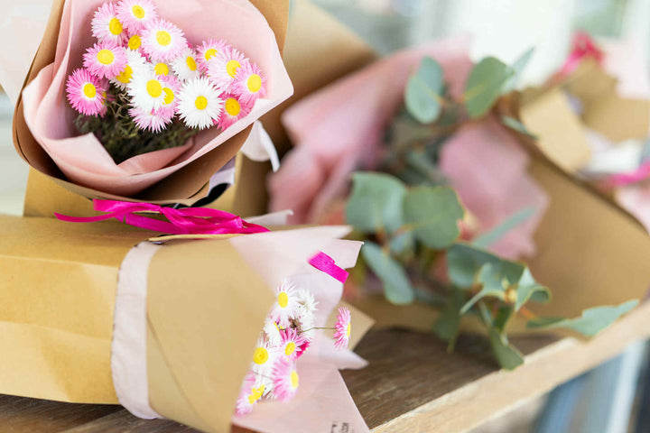 Dried Paper Daisies | Pink and White Everlasting Flowers