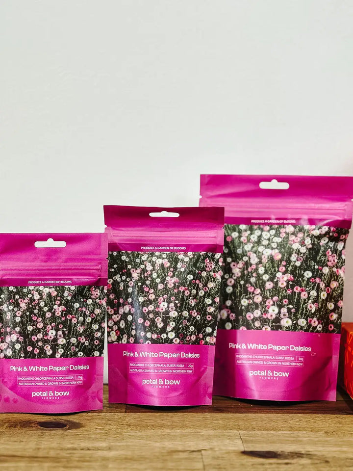 Three packets of Petal and Bow flowers pink and white everlasting paper daisiy seed packet on a wooden surface with a white background