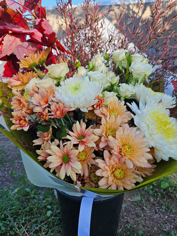 Seasonal Flowers | Native Australian Flowers | Coonamble Florist | Walgett Florist | Lightning Ridge Florist | Gilgandra Florist | Coonamble Bouquets | Daily Flower Delivery | Same Day Flowers Coonamble 