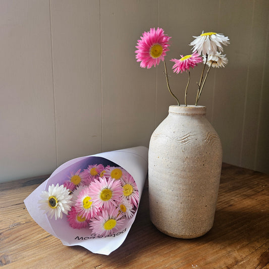 Paper Daisy and Bud Vase Gift Box - Petal & Bow Flowers | Dried Paper Daisy Flowers | Coonamble Florist | Petal & Bow Flowers | Seasonal Flowers | Everlasting Flowers | Everlasting Daisy | Dried Flowers | Send Flowers | Gift Flowers | Dried Rhodanthe | Post Flowers 