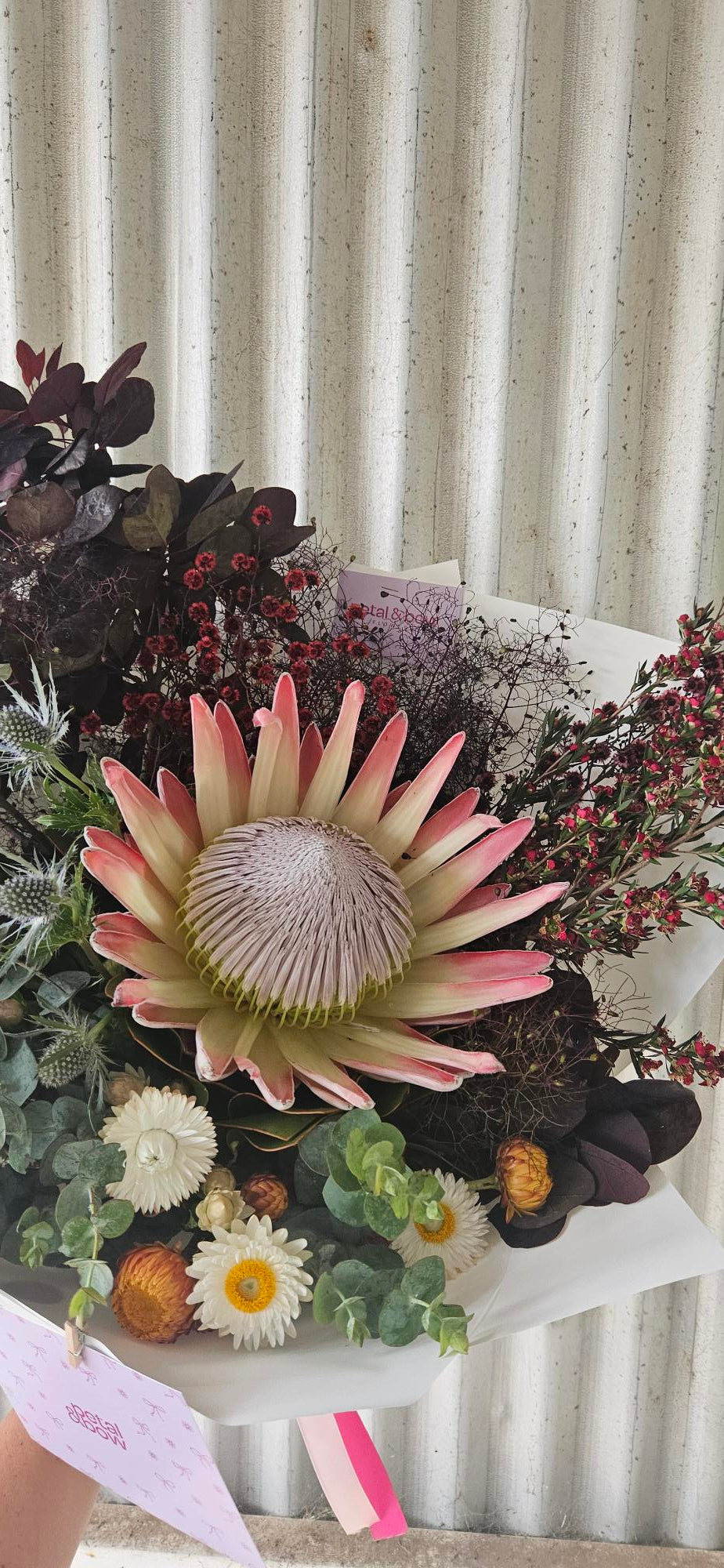 Seasonal Flowers | Native Australian Flowers | Coonamble Florist | Walgett Florist | Lightning Ridge Florist | Gilgandra Florist | Coonamble Bouquets | Daily Flower Delivery | Same Day Flowers Coonamble  | Petal and Bow Flowers 