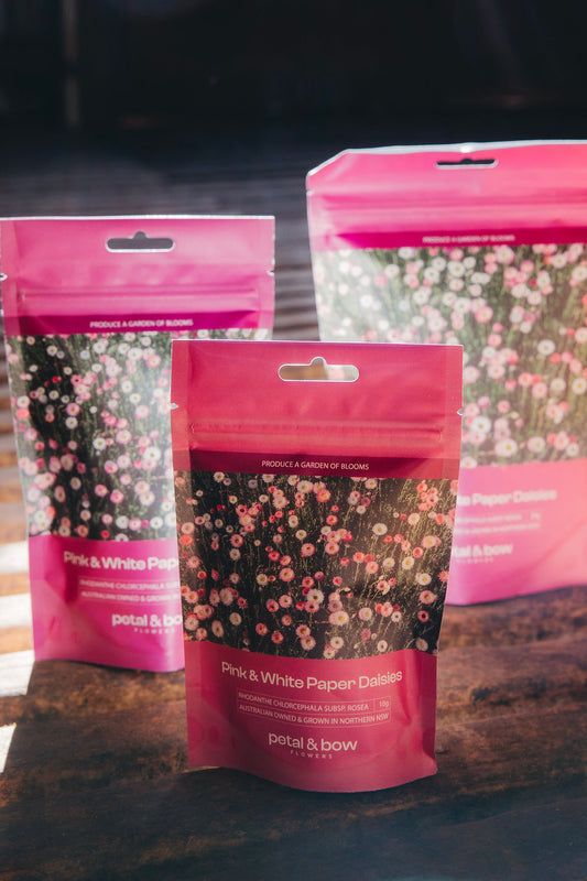 Australian Wildflower Seeds | Native Flowers | Petal and Bow Flowers | Paper Daisy Seeds | Everlasting Daisy Seeds | Rhodanthe Seed | Strawflower Seeds | Seed Seller | Easy to Grow Flowers | Locally Grown Seeds | Locally Grown Flowers | Everlasting Daisy | Paper Daisy | Pink and White Flowers | Seed Packet |  Buy Paper Daisy Seeds | Pink and White Everlasting Paper Daisy