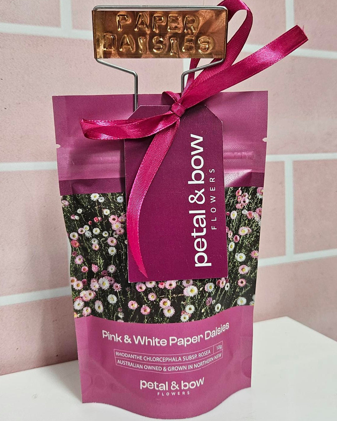 Christmas gift idea of Paper Daisy Seeds and Stamped Copper Gift Tag