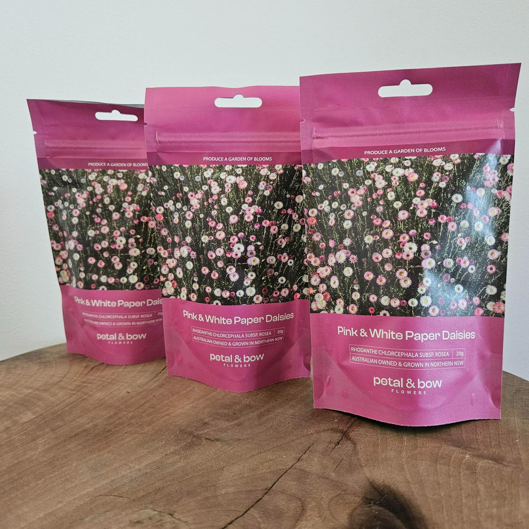3 x 20g pink and white paper daisy seed packets