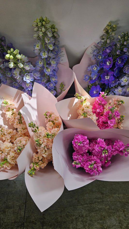 En Masse Fresh Stock Bunches - Petal & Bow Flowers | Farm Fresh Flowers | Locally Grown Coonamble | Seasonal Flowers 
