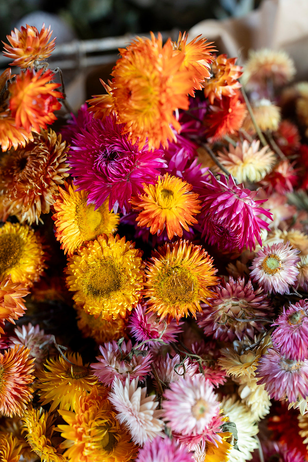 Wreath Workshop - Coonamble