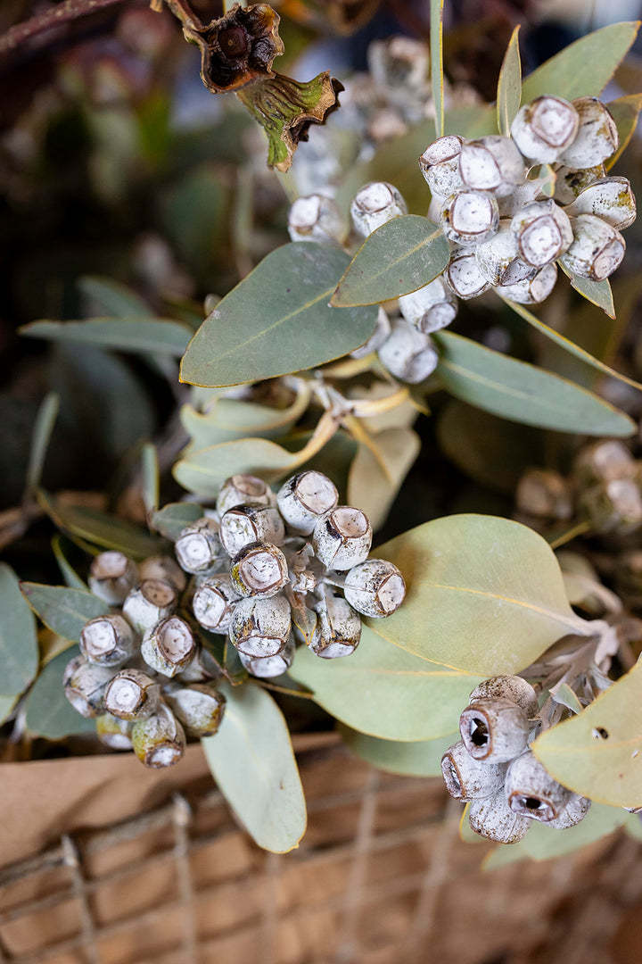 Wreath Workshop - Coonamble