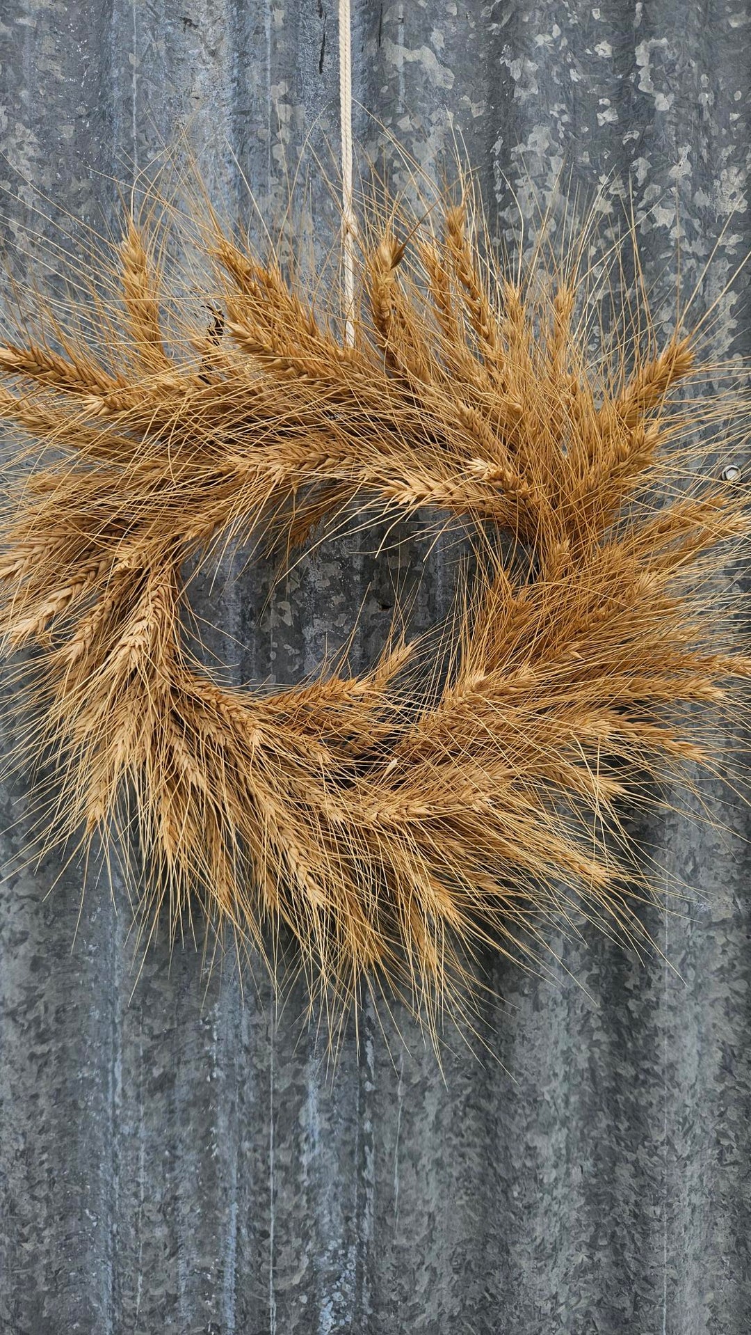 Wheat wreath on a hand twisted grapevine base. 