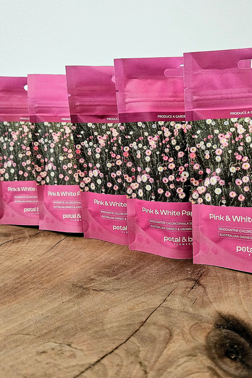 Petal and Bow flowers Pink seed packaging of Pink & White Paper Daisies on a wooden shelf