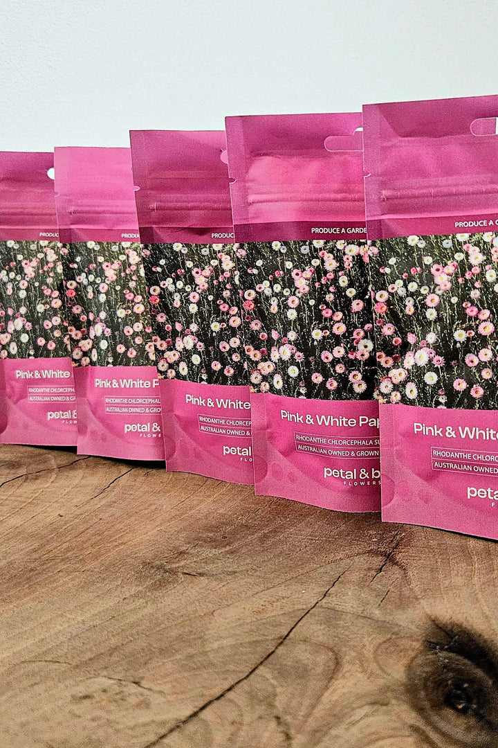 Pink &amp; White paper daisy seeds in vibrant pink packets, perfect for meadow gardens and cut flowers.